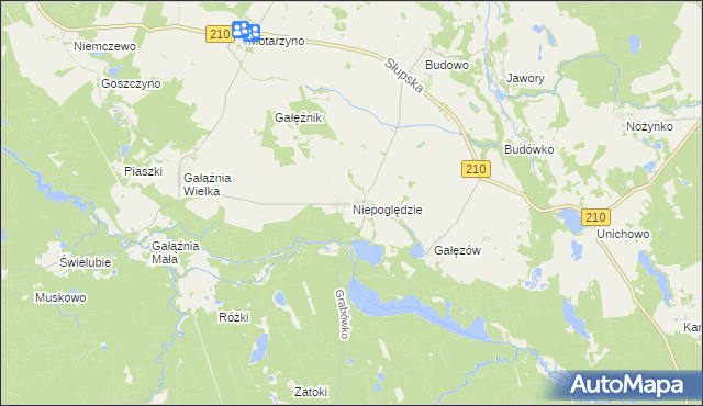 mapa Niepoględzie, Niepoględzie na mapie Targeo