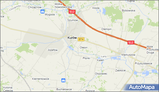 mapa Olesin gmina Kurów, Olesin gmina Kurów na mapie Targeo