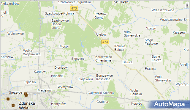 mapa Borszewice Cmentarne, Borszewice Cmentarne na mapie Targeo