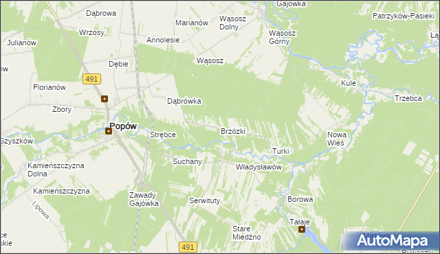 mapa Brzózki gmina Popów, Brzózki gmina Popów na mapie Targeo