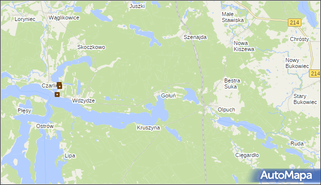 mapa Gołuń gmina Kościerzyna, Gołuń gmina Kościerzyna na mapie Targeo