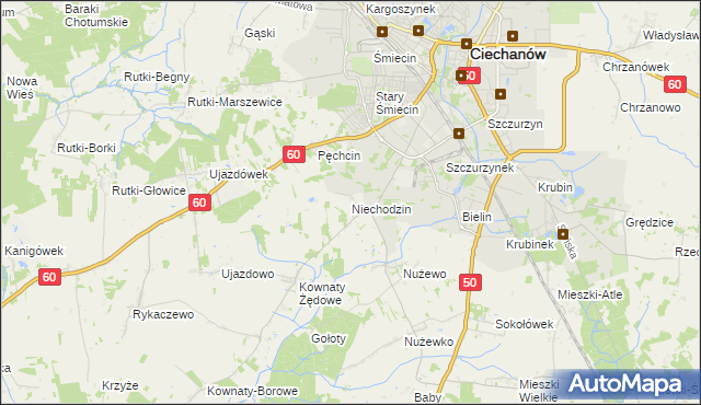 mapa Niechodzin, Niechodzin na mapie Targeo