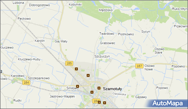 mapa Szczuczyn gmina Szamotuły, Szczuczyn gmina Szamotuły na mapie Targeo