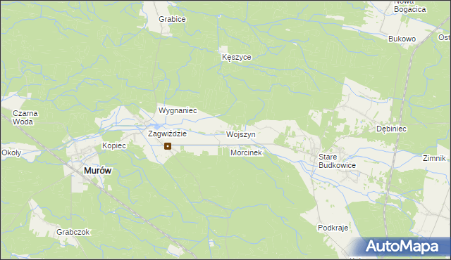 mapa Wojszyn gmina Murów, Wojszyn gmina Murów na mapie Targeo