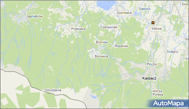 mapa Borowice gmina Podgórzyn, Borowice gmina Podgórzyn na mapie Targeo