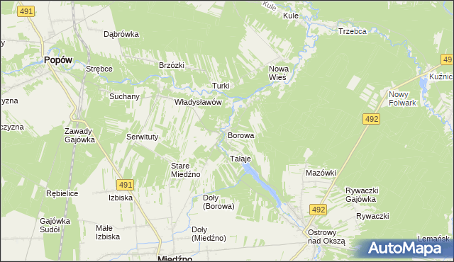 mapa Borowa gmina Miedźno, Borowa gmina Miedźno na mapie Targeo
