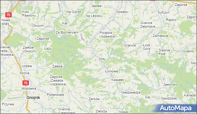 mapa Doły gmina Dębno, Doły gmina Dębno na mapie Targeo