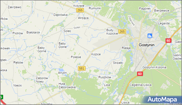 mapa Kozice gmina Gostynin, Kozice gmina Gostynin na mapie Targeo