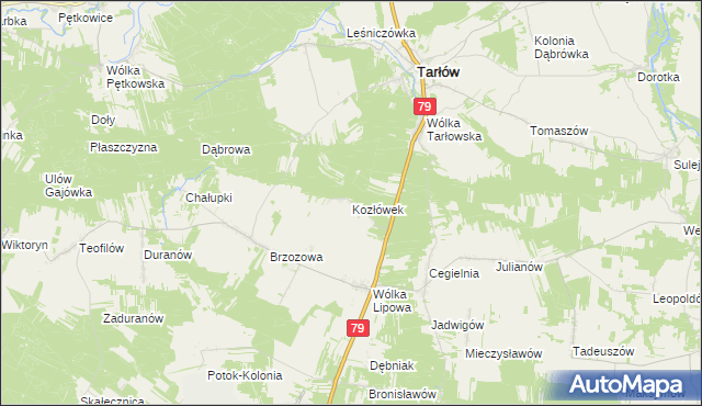mapa Kozłówek gmina Tarłów, Kozłówek gmina Tarłów na mapie Targeo