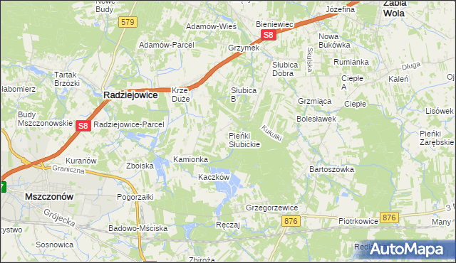 mapa Pieńki Słubickie, Pieńki Słubickie na mapie Targeo