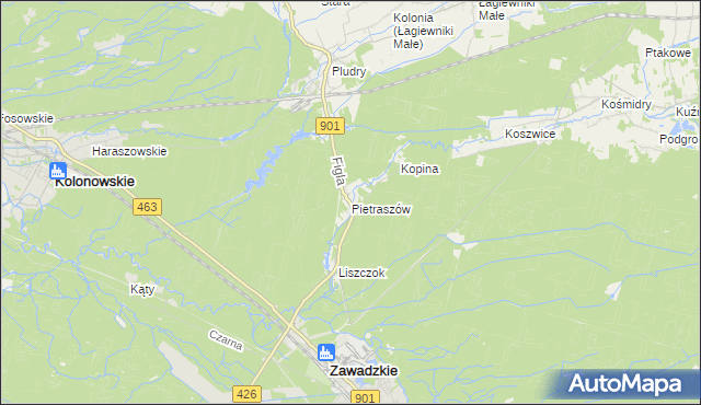 mapa Pietraszów, Pietraszów na mapie Targeo