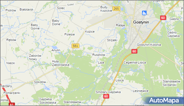 mapa Ruszków gmina Gostynin, Ruszków gmina Gostynin na mapie Targeo