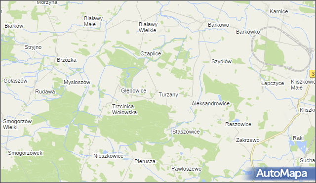 mapa Turzany gmina Wińsko, Turzany gmina Wińsko na mapie Targeo