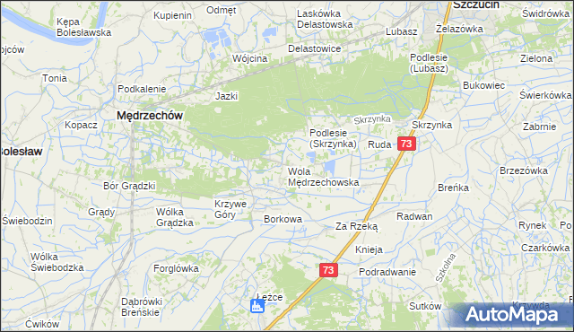 mapa Wola Mędrzechowska, Wola Mędrzechowska na mapie Targeo