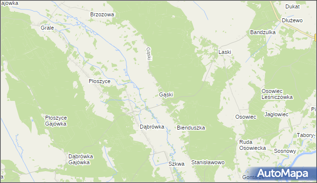 mapa Gąski gmina Lelis, Gąski gmina Lelis na mapie Targeo
