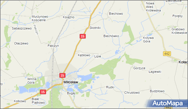 mapa Lipie gmina Miłosław, Lipie gmina Miłosław na mapie Targeo