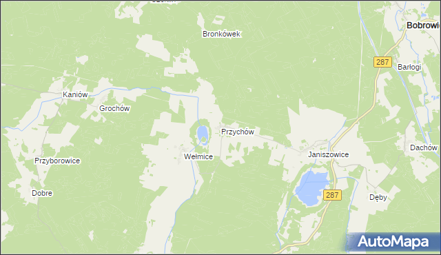 mapa Przychów, Przychów na mapie Targeo