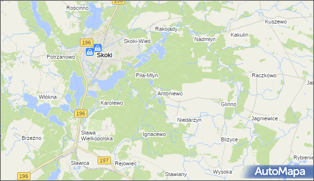 mapa Antoniewo gmina Skoki, Antoniewo gmina Skoki na mapie Targeo