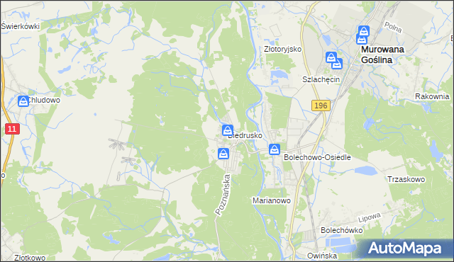 mapa Biedrusko, Biedrusko na mapie Targeo