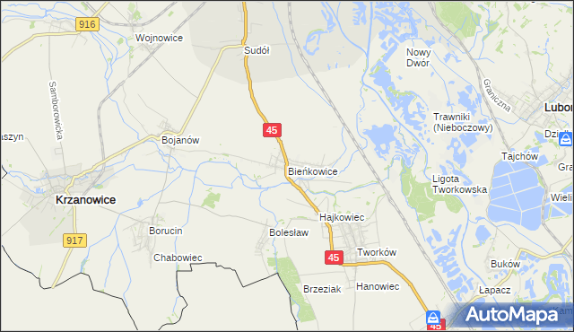 mapa Bieńkowice gmina Krzyżanowice, Bieńkowice gmina Krzyżanowice na mapie Targeo