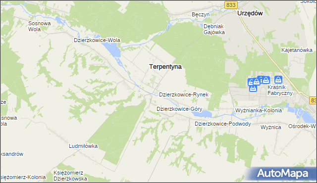 mapa Dzierzkowice-Rynek, Dzierzkowice-Rynek na mapie Targeo