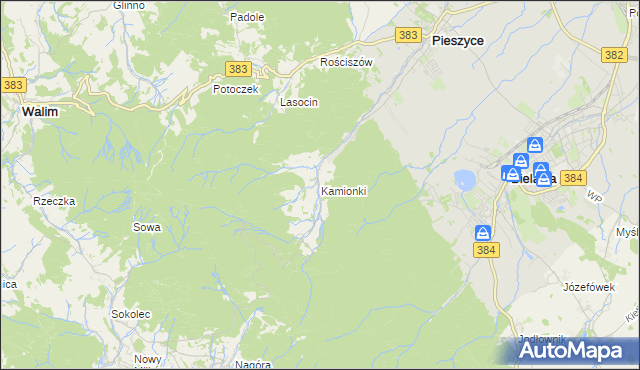 mapa Kamionki gmina Pieszyce, Kamionki gmina Pieszyce na mapie Targeo