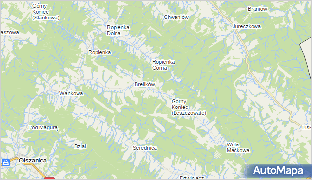 mapa Leszczowate, Leszczowate na mapie Targeo