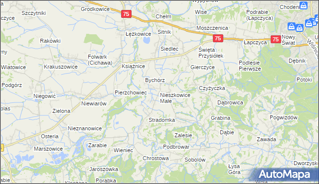 mapa Nieszkowice Małe, Nieszkowice Małe na mapie Targeo