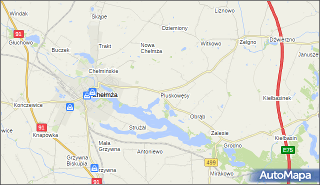 mapa Pluskowęsy gmina Chełmża, Pluskowęsy gmina Chełmża na mapie Targeo