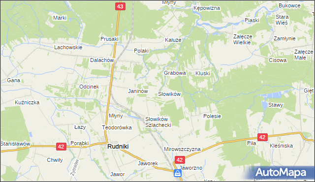 mapa Słowików gmina Rudniki, Słowików gmina Rudniki na mapie Targeo