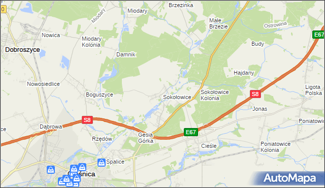 mapa Sokołowice gmina Oleśnica, Sokołowice gmina Oleśnica na mapie Targeo