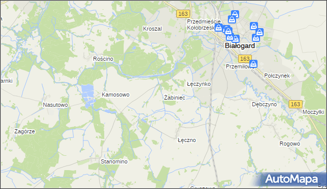 mapa Żabiniec gmina Białogard, Żabiniec gmina Białogard na mapie Targeo