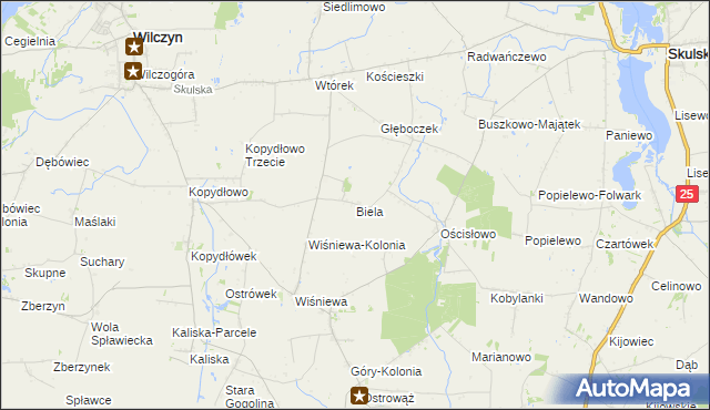 mapa Biela gmina Wilczyn, Biela gmina Wilczyn na mapie Targeo