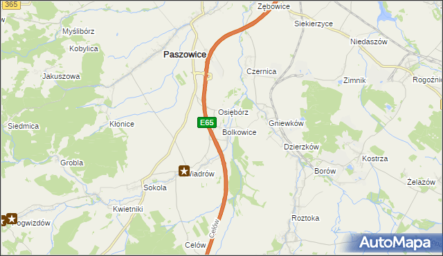 mapa Bolkowice gmina Paszowice, Bolkowice gmina Paszowice na mapie Targeo