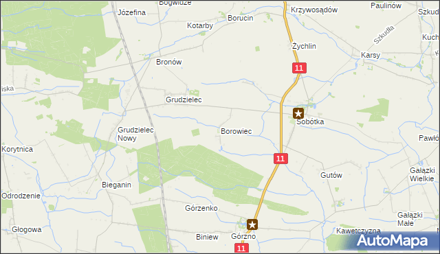 mapa Borowiec gmina Ostrów Wielkopolski, Borowiec gmina Ostrów Wielkopolski na mapie Targeo
