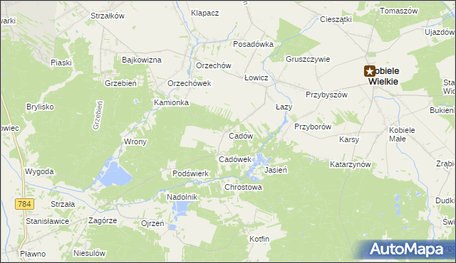 mapa Cadów, Cadów na mapie Targeo