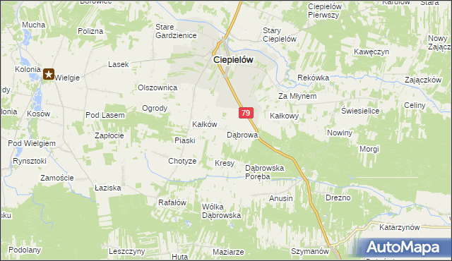 mapa Dąbrowa gmina Ciepielów, Dąbrowa gmina Ciepielów na mapie Targeo