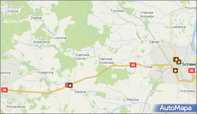 mapa Dąbrowa Środkowa, Dąbrowa Środkowa na mapie Targeo