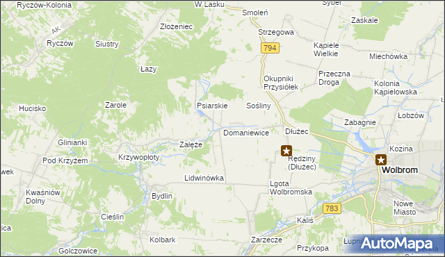 mapa Domaniewice gmina Wolbrom, Domaniewice gmina Wolbrom na mapie Targeo