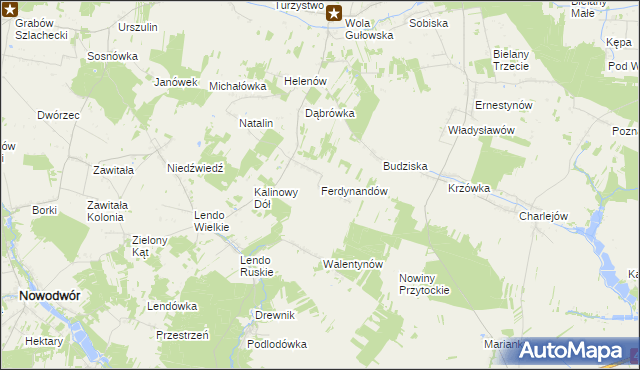 mapa Ferdynandów gmina Adamów, Ferdynandów gmina Adamów na mapie Targeo