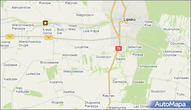 mapa Gruszczyn gmina Lipsko, Gruszczyn gmina Lipsko na mapie Targeo