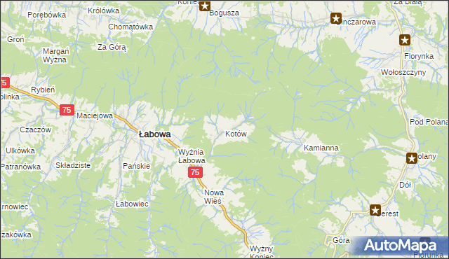mapa Kotów gmina Łabowa, Kotów gmina Łabowa na mapie Targeo