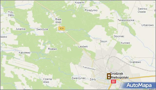 mapa Lasówki gmina Grodzisk Wielkopolski, Lasówki gmina Grodzisk Wielkopolski na mapie Targeo