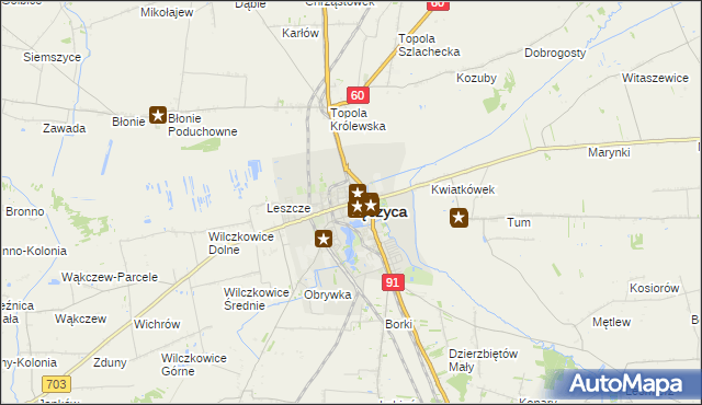 mapa Łęczyca, Łęczyca na mapie Targeo