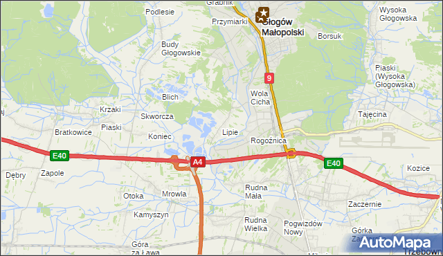 mapa Lipie gmina Głogów Małopolski, Lipie gmina Głogów Małopolski na mapie Targeo