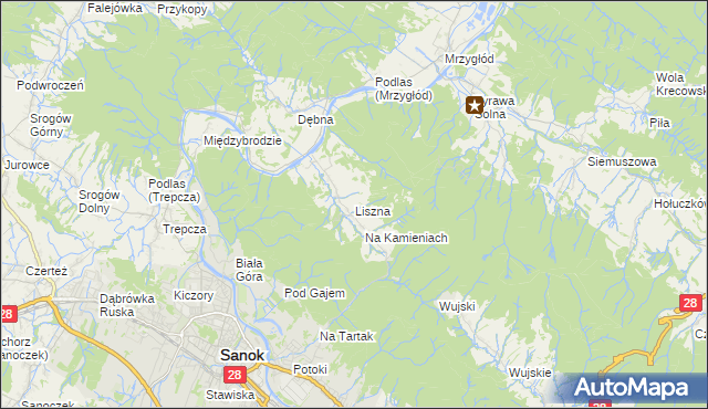 mapa Liszna gmina Sanok, Liszna gmina Sanok na mapie Targeo