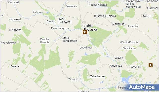 mapa Ludwinów gmina Leśna Podlaska, Ludwinów gmina Leśna Podlaska na mapie Targeo