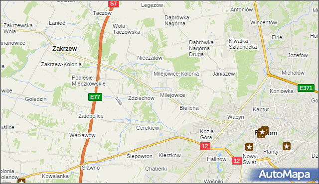 mapa Milejowice gmina Zakrzew, Milejowice gmina Zakrzew na mapie Targeo