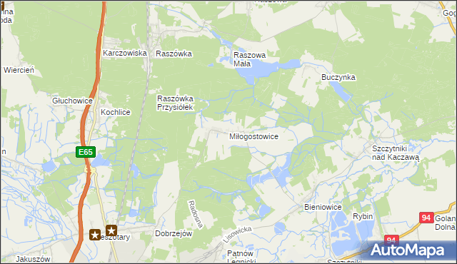 mapa Miłogostowice, Miłogostowice na mapie Targeo