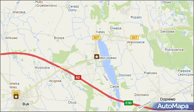 mapa Niepruszewo, Niepruszewo na mapie Targeo
